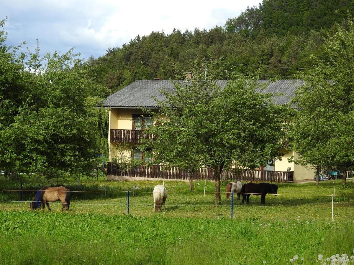 Apartment Am Ponyhof Sankt Kanzian am Klopeiner See Eksteriør bilde